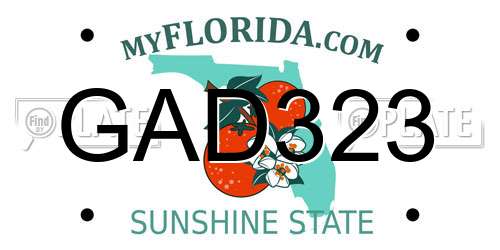 GAD323 Florida License Plate