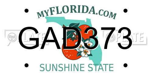 GAD373 Florida License Plate