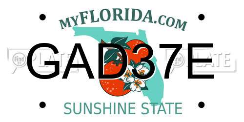 GAD37E Florida License Plate