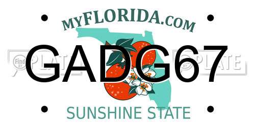 GADG67 Florida License Plate