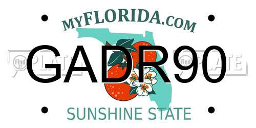 GADR90 Florida License Plate