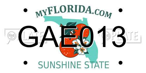 GAE013 Florida License Plate