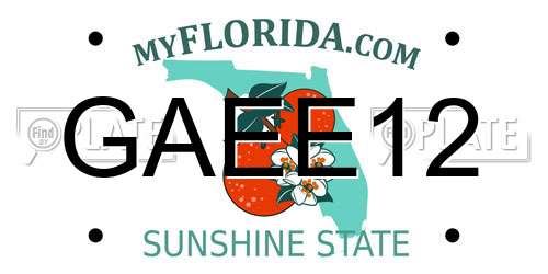 GAEE12 Florida License Plate