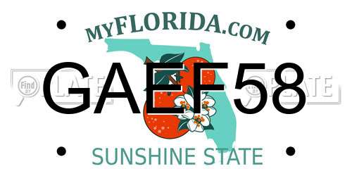 GAEF58 Florida License Plate