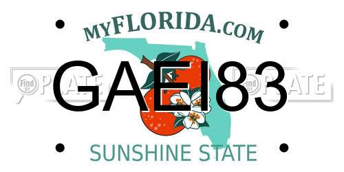 GAEI83 Florida License Plate