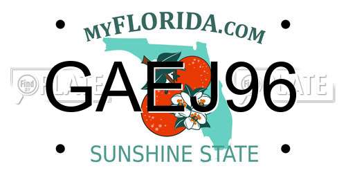 GAEJ96 Florida License Plate