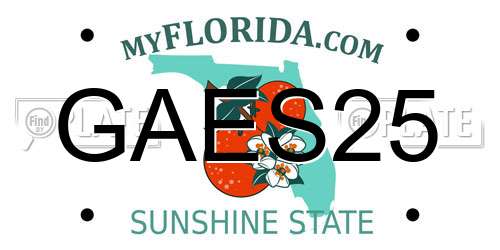 GAES25 Florida License Plate