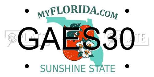 GAES30 Florida License Plate