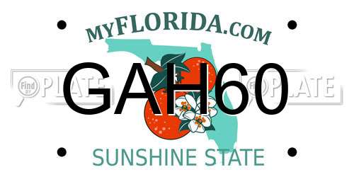 GAH60 Florida License Plate