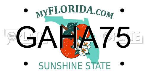 GAHA75 Florida License Plate