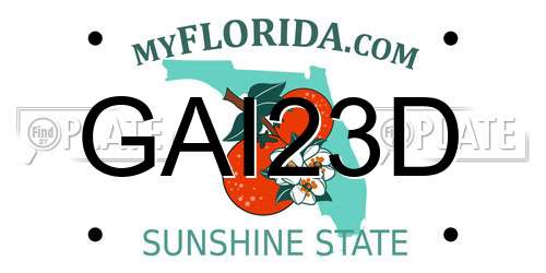 GAI23D Florida License Plate