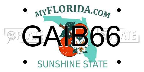 GAIB66 Florida License Plate