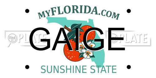 GAIGE Florida License Plate
