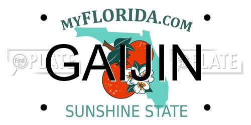 GAIJIN Florida License Plate