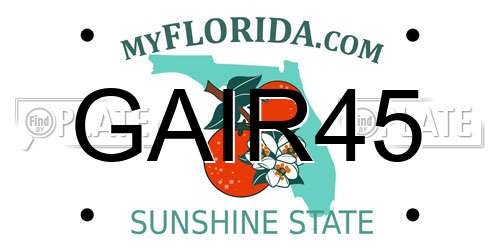GAIR45 Florida License Plate