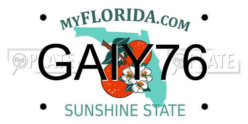 GAIY76 Florida License Plate