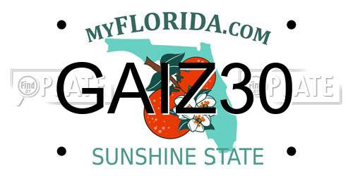 GAIZ30 Florida License Plate