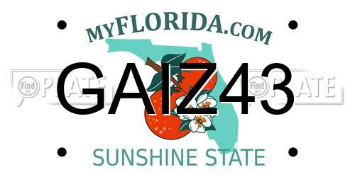 GAIZ43 Florida License Plate