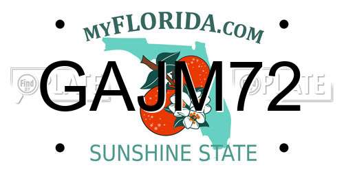 GAJM72 Florida License Plate