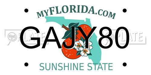 GAJY80 Florida License Plate