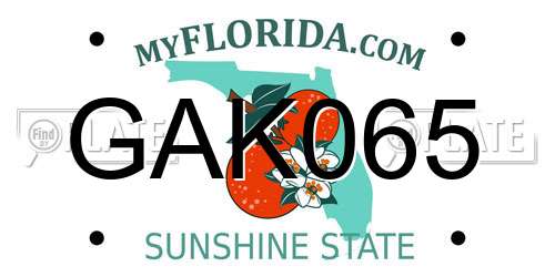 GAK065 Florida License Plate