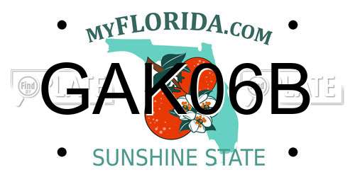 GAK06B Florida License Plate