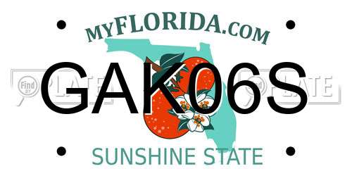 GAK06S Florida License Plate