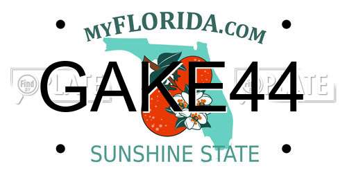 GAKE44 Florida License Plate