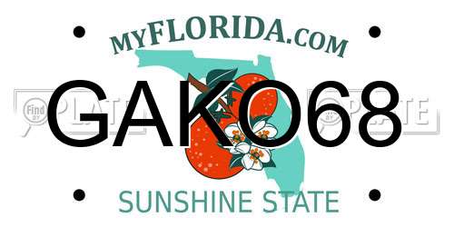 GAKO68 Florida License Plate