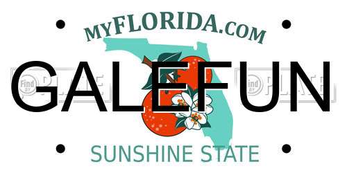 GALEFUN Florida License Plate