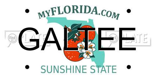 GALTEE Florida License Plate