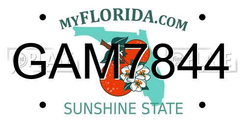 GAM7844 Florida License Plate