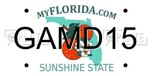 GAMD15 Florida License Plate