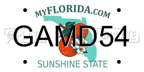 GAMD54 Florida License Plate