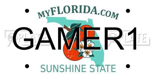 GAMER1 Florida License Plate