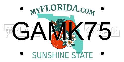 GAMK75 Florida License Plate
