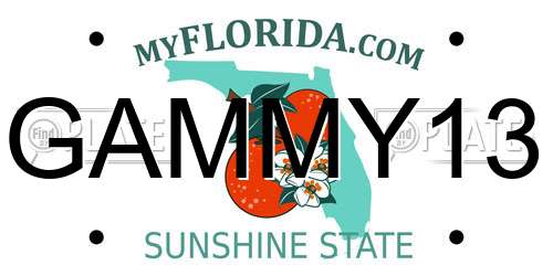 GAMMY13 Florida License Plate