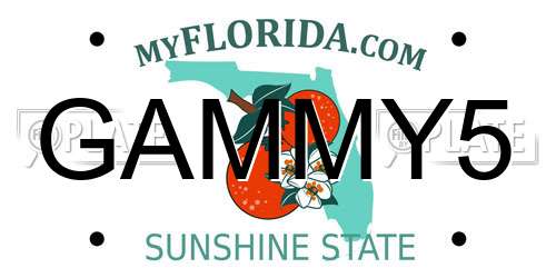 GAMMY5 Florida License Plate