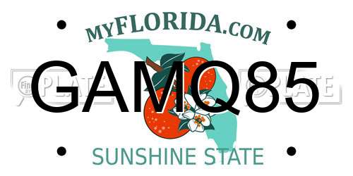GAMQ85 Florida License Plate