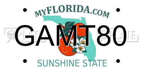 GAMT80 Florida License Plate