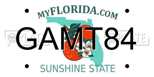 GAMT84 Florida License Plate