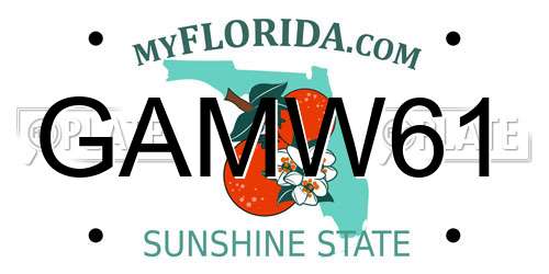 GAMW61 Florida License Plate