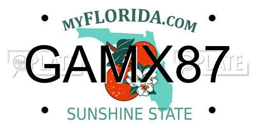 GAMX87 Florida License Plate