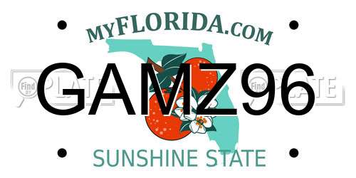 GAMZ96 Florida License Plate
