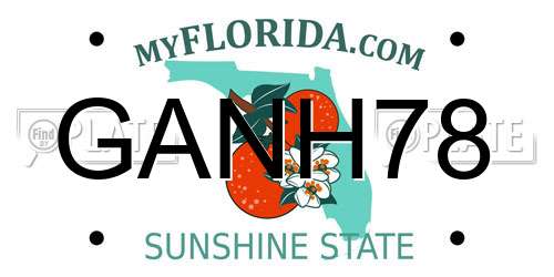 GANH78 Florida License Plate