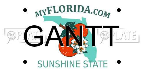 GANTT Florida License Plate