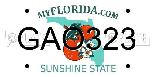 GAO323 Florida License Plate