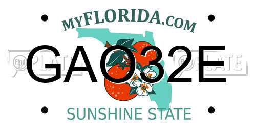 GAO32E Florida License Plate