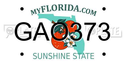 GAO373 Florida License Plate