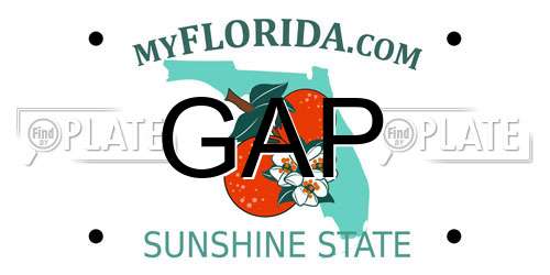 GAP Florida License Plate
